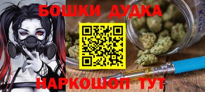 крисы Камышлов