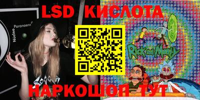 крисы Камышлов