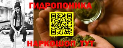 крисы Камышлов