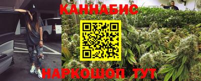 крисы Камышлов