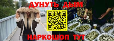 крисы Камышлов
