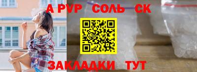 крисы Камышлов