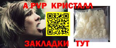 крисы Камышлов