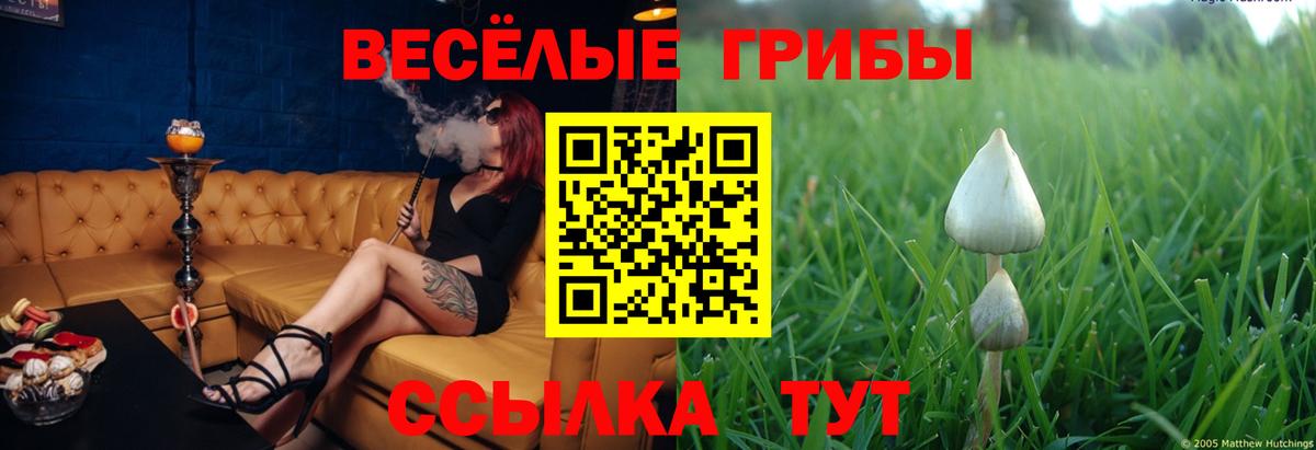 Галлюциногенные грибы мухоморы  Вход с VPN  Галлюциногенные грибы мицелий  Кохма 